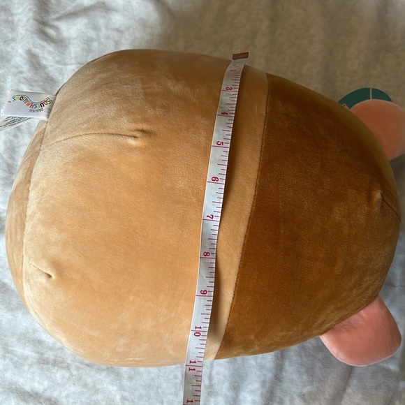 Garret the Guinea Pig Squishmallow - Picture 9 of 10
